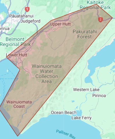 nougat, fudge, liquorice